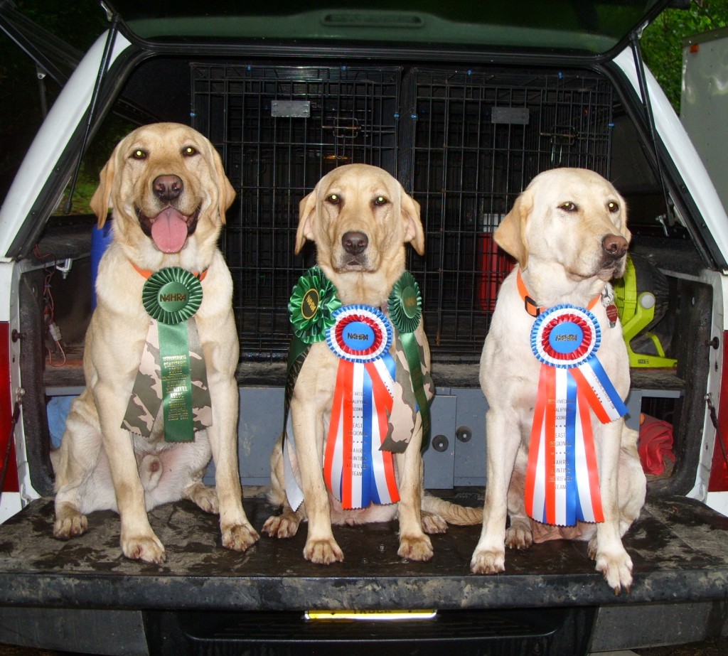 Dash (center) with ribbons for NAHRA East Regional pass and two Hunter passes to complete her Hunter title