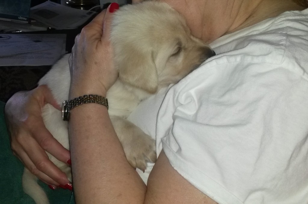Snuggle puppy 4.16.14 A
